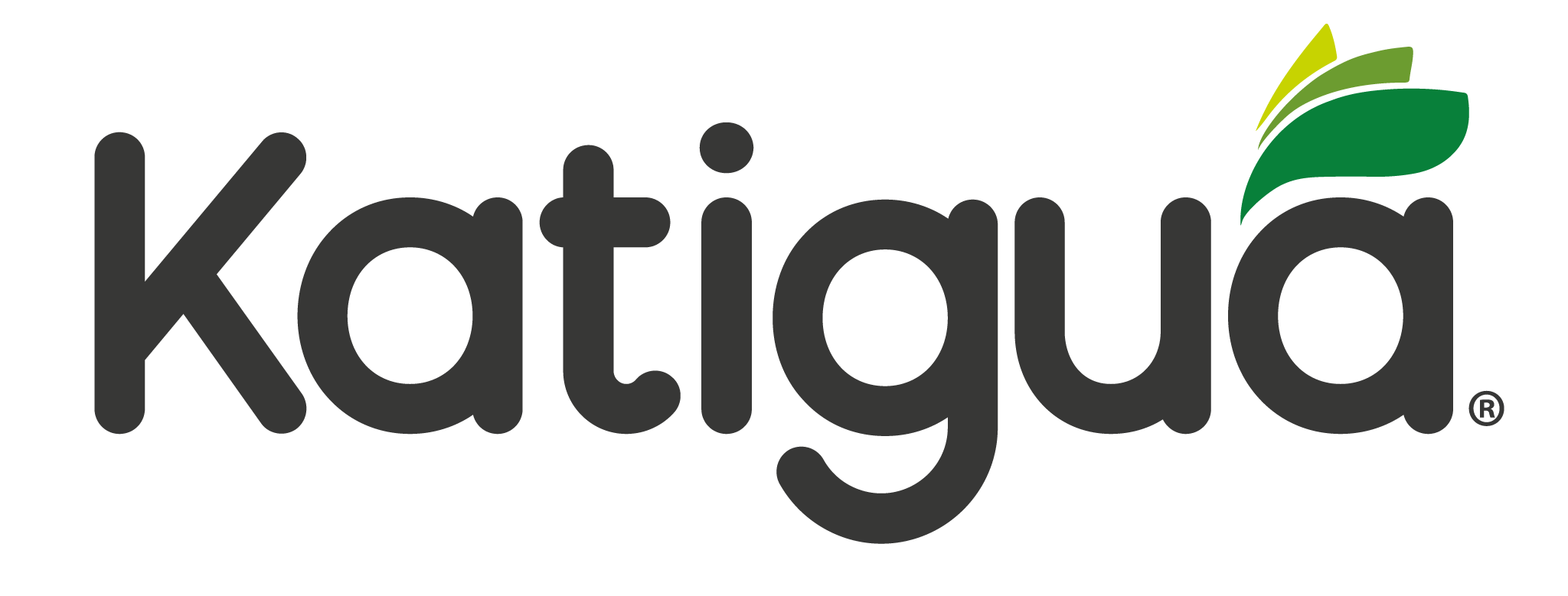 Logo Katigua – Cliente Hiperplas